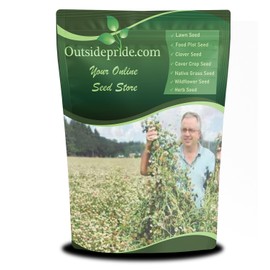 Outsidepride Fixation Balansa Clover Seeds for Lawn - 10 lbs. Coated & Inoculated, Cold Season, Drought Tolerant Cover Crop Seeds, Ideal for Erosion Control, Pasture, & Pollinator-Friendly Garden
