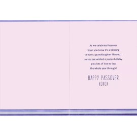 Designer Greetings Small Symbols of Seder on Light Pink  Granddaughter Juvenile Passover Card