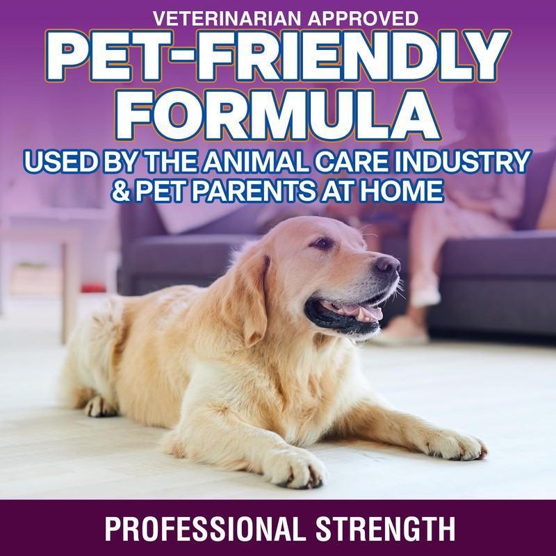 OdorPet Pet Stain Remover and Odor Eliminator - 16 Oz