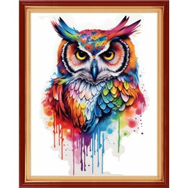 DMCVIVR Stamped Cross Stitch Kits for Beginners Adults Needlepoint Kits for Beginners Embroidery Kits for Adults Crossstitch Kit for Beginners 11CT-Colorful Owl 16x20 inch