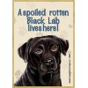 A spoiled rotten Black Lab lives here! Wood Fridge Magnet