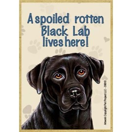A spoiled rotten Black Lab lives here! Wood Fridge Magnet 2.5 x 3.5 Gift Locker