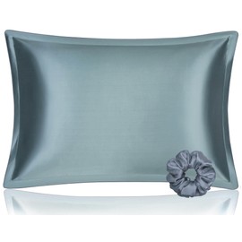 DISANGNI 100% Mulberry Silk Pillowcase，for hair and skin, envelope type, silk pillowcase one side，real silk pillowcase (1 Pack Queen Size 20"x30", Blue Gray)