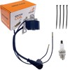 IGCLINIC Ignition Coil and Spark plug Replace Stihl MS 024
