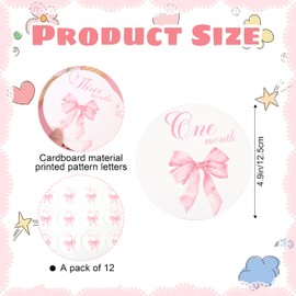 Bow Baby Monthly Milestone Markers - Baby Monthly Milestone Discs Photos,Coquette Bow Month Photo Signs,Baby’S First Year Newborn Signs for Girl (Pink)