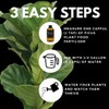 Lush Leaf | Plant Food (Ficus)