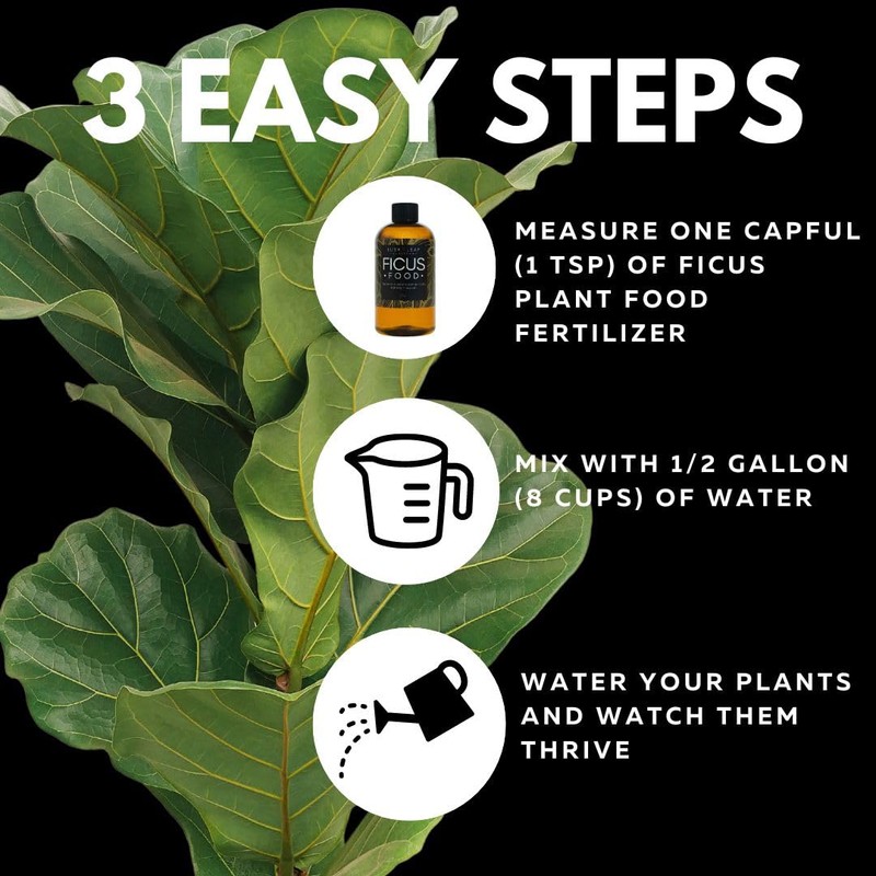 Lush Leaf | Plant Food (Ficus)