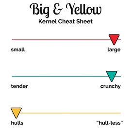 Wabash Valley Farms - Popcorn Jar - Jingle - 28 oz