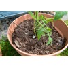 Royal Gardineer Blumenbewässerung: Mikro-Bewässerungssystem mit 10 Bewässerungs-Spitzen für Pflanzen (Bewässerungsspitzen,