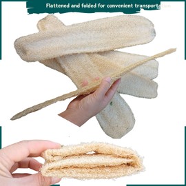 10 Pcs (7 – 10 Inches) Shower Loofah Exfoliating Body Scrubber | Natural Loofah Sponge | Bath for Loofah for Men and Women | Pack of 10