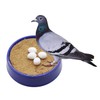 Maxmoral 12pcs Fake Eggs Plastic False Pigeon Eggs for Hatch