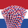 Paper Straws Long Netherlands Design, Pack of 100, 16 cm