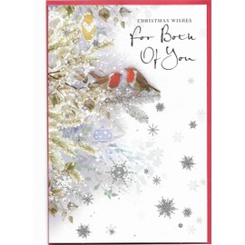 Christmas Card For Both Of You 23 x 15 Cm (9 x 6 inches) Christmas Wishes for Both Of You Robins