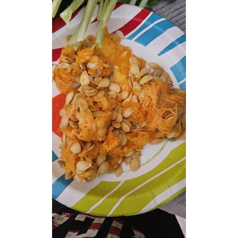 sunshine seed company Butternut Squash - Seeds - Organic -