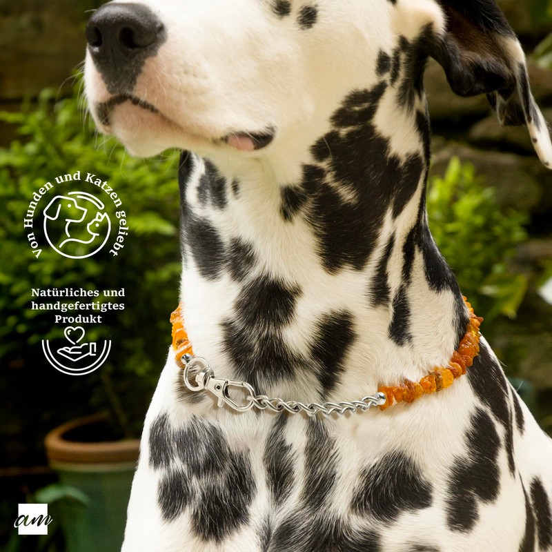 Amberta Amber Collar for Dogs and Cats | Amber Necklace