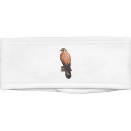 'Perched Kestrel' Beauty Head Band/Hair Band (HB00035306)