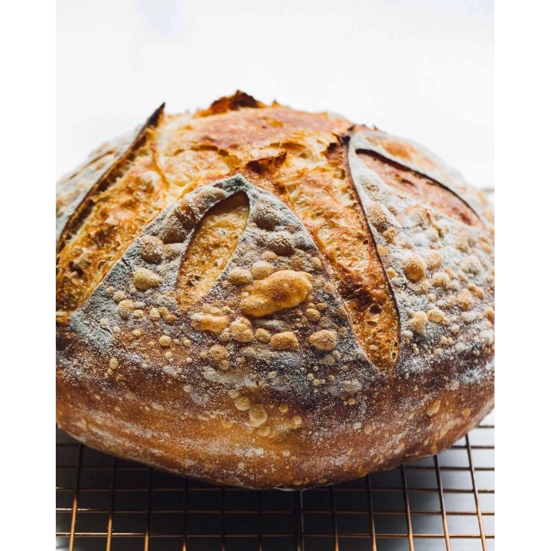 Heritage Sour SOURDOUGH STARTER DEHYDRATED STRONG 125+ YRS SAN FRANCISCO