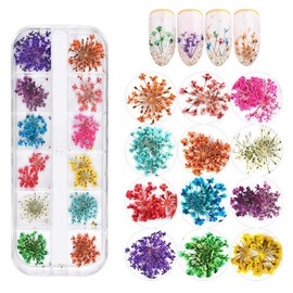 12 Colors Dried Flowers for Nail Art, KINGMAS 1 Box Dry Flowers Mini Real Natural Flowers Nail Art Supplies 3D Applique Nail Decoration Sticker Decor (A)