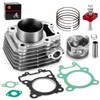 Engine Cylinder Piston Rings Gasket Kit & Tensioner for Kawasaki