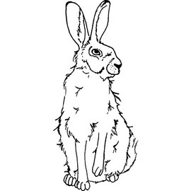 'Sitting Hare' Rubber Stamp - Unmounted Design for Crafting & Scrapbooking, A7 (RS00008364)