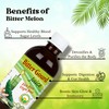Basic Ayurveda Bitter Gourd (Karela) Juice | 16.23 Fl Oz
