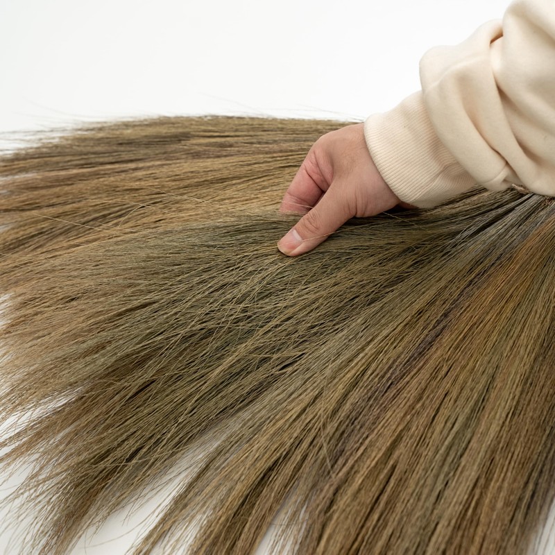 TTS For Home - Vietnamese Straw Soft Broom with Long