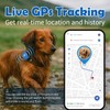 SUOFEIYA GPS Pet Tracker，Real-time Tracker for Dogs，Activity & Fitness Monitor，Virtual