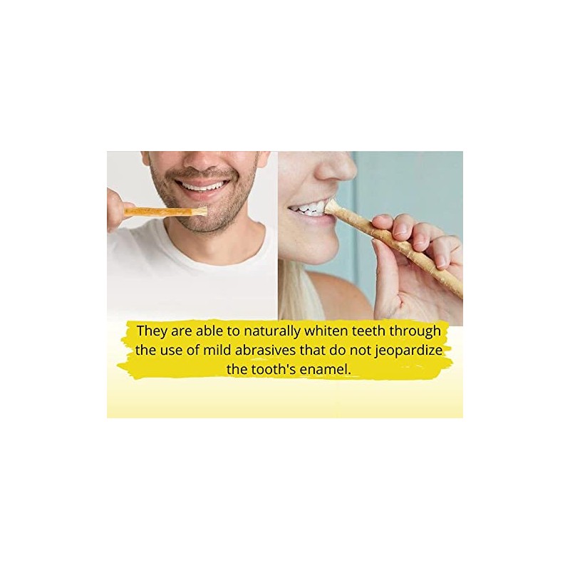 3 cepillos de dientes tradicionales naturales para dientes más blancos
