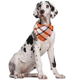 Paquete de 2 pañuelos de otoño para perro, bandana de Acción de Gracias, color naranja, a cuadros, reversibles, para niños, niñas, día festivo