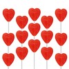 The Dreidel Company Valentines Day Lollipops Red Double Heart Shaped