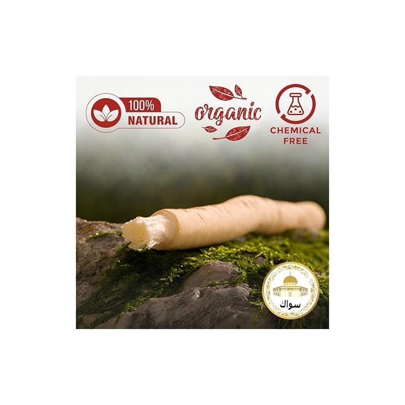 SEWAK Higiene Oral Oral Cepillo de dientes Natural 10 Unidades