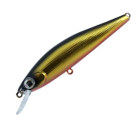 Daiwa Trout Dr. Minnow 2 Kurokin 70S Lure