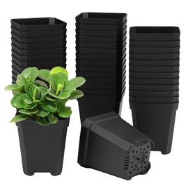 Pack of 100 Propagation Pots 5 cm, Plastic Propagation Pots Square, Plastic Pots Small with Perforated Base, Propagation Pots Plastic for Various Plants, Seedlings, Cuttings, Transplants (Black)