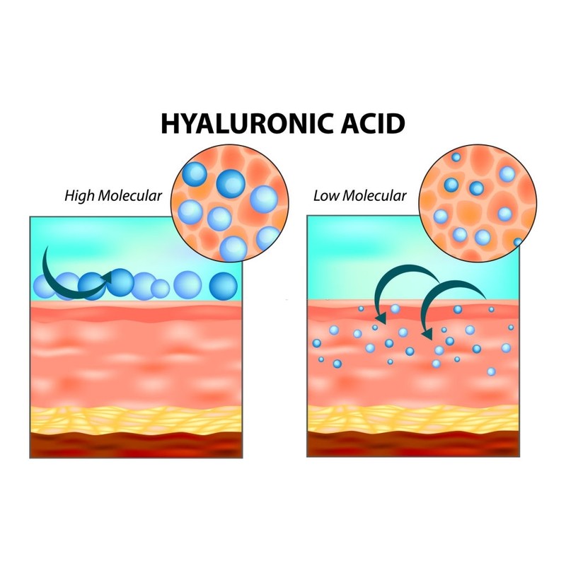 FUTURE FOOD Hyaluronic Acid 1% Serum Solution | HA Serum
