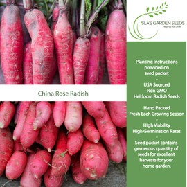 China Rose Pink Radish Seeds (Raphanus sativus) – 125+ Non-GMO & Heirloom Seeds by Isla’s Garden Seeds, Also Known as Rose Radish, Crisp & Fast-Growing Cool-Season Variety for Fall Gardens, Gift Idea