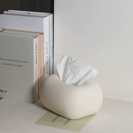 Ceramic object tissue case / 세라믹 오브제 티슈 케이스