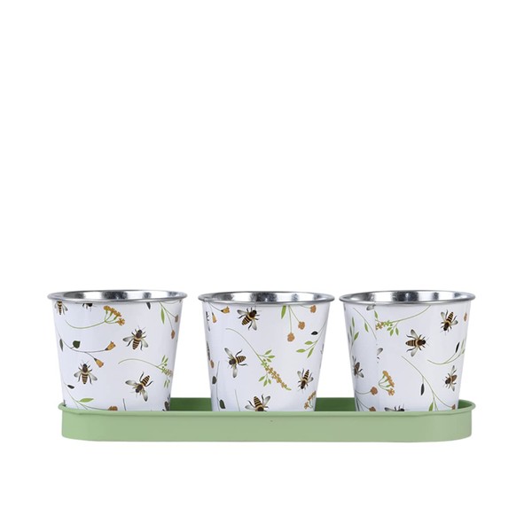 Fallen Fruits Bee Print Herb Pots with Tray | for
