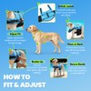 VIVAGLORY Rip Stop Dog Life Jacket, Swimming Aid & Buoyancy,