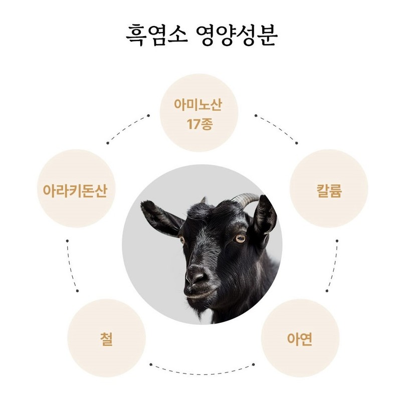 Kim So-hyung's studio 김소형 흑염소 진액 자연방목 흑염소즙 스틱 부모님