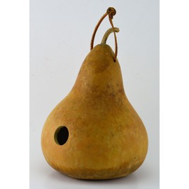 Gourdaments Gourd Birdhouse, Unfinished, Craft Ready, Box of 3