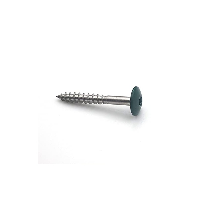 50 x 4.8 x 38mm RAL 6005 Moss Green Stainless