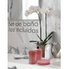 RED VELVET Set de Baño Simply Home de 3 Piezas