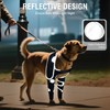 Dog Shoulder & Elbow Brace – Anti-Licking Sleeve for Shoulder