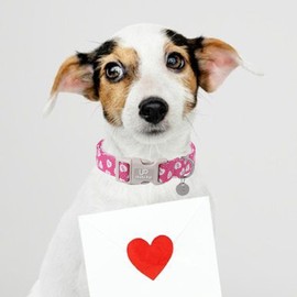 UP URARA PUP Pink Heart Dog Collar, Valentine's Gift for Puppy, XS, Cotton, Extra Small, Special Feature: Valentine's Day Theme