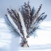 WXQX Pampas Grass Decor Bouquet - Natural Dried Flower Arrangement