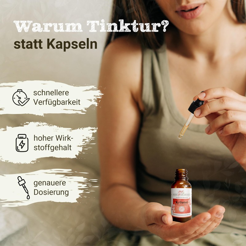 Chinese Angelica Tincture - 100 ml, Angelica Sinensis Drops, 1:4