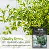 SURVIVAL GARDEN SEEDS Survival Garden Seeds - Thyme Seed for
