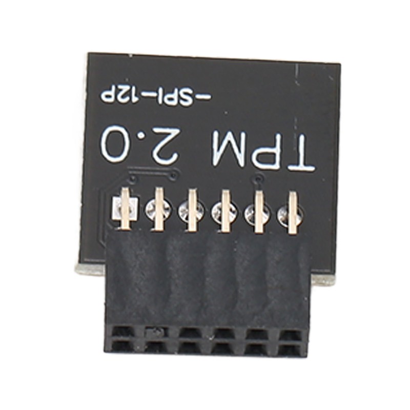 TPM2.0 Encryption Security Module for GIGABYTE Mainboard SPI 12Pin Security