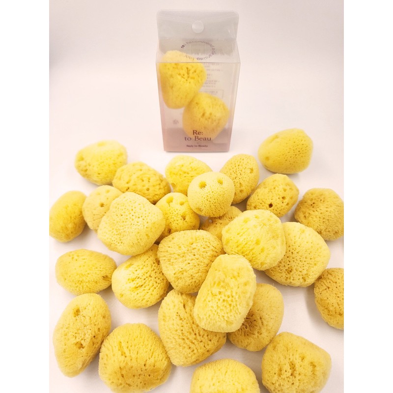 Review Review Natural Sea Sponge 2P / 리투뷰 천연해면 스펀지2P