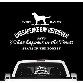 Siviwonder Chesapeake Bay Retriever Sticker Vintage Dog Sticker Film Chessie CBR Colour White Size 20 cm
